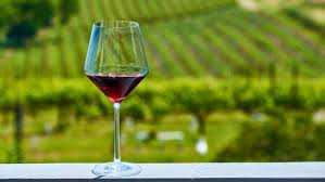 Vino Rosso Sfuso bottiglie da 1,5L