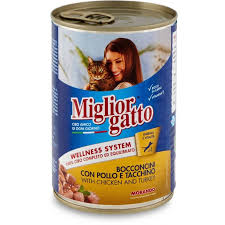 Miglior gatto Bocconcini