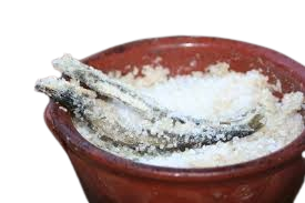Acciughe sotto sale
