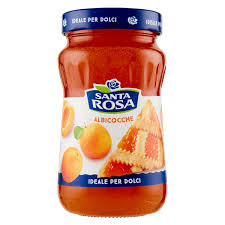 Marmellata Santa rosa albicocca 600g